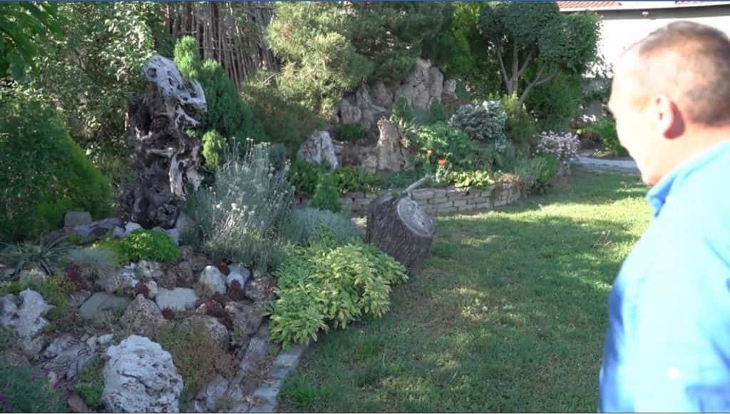 DŽUNGLA U BORČI- Čarobnjak za bilje iz Borče Zoran umesto deponije u svom dvorištu napravio džunglu
